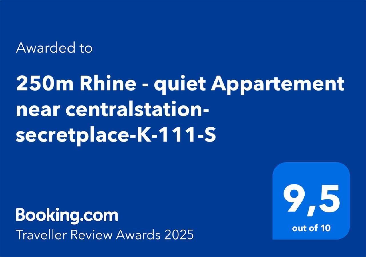 250M Rhine - Quiet Appartement Near Centralstation- Secretplace-K-111-S コブレンツ エクステリア 写真